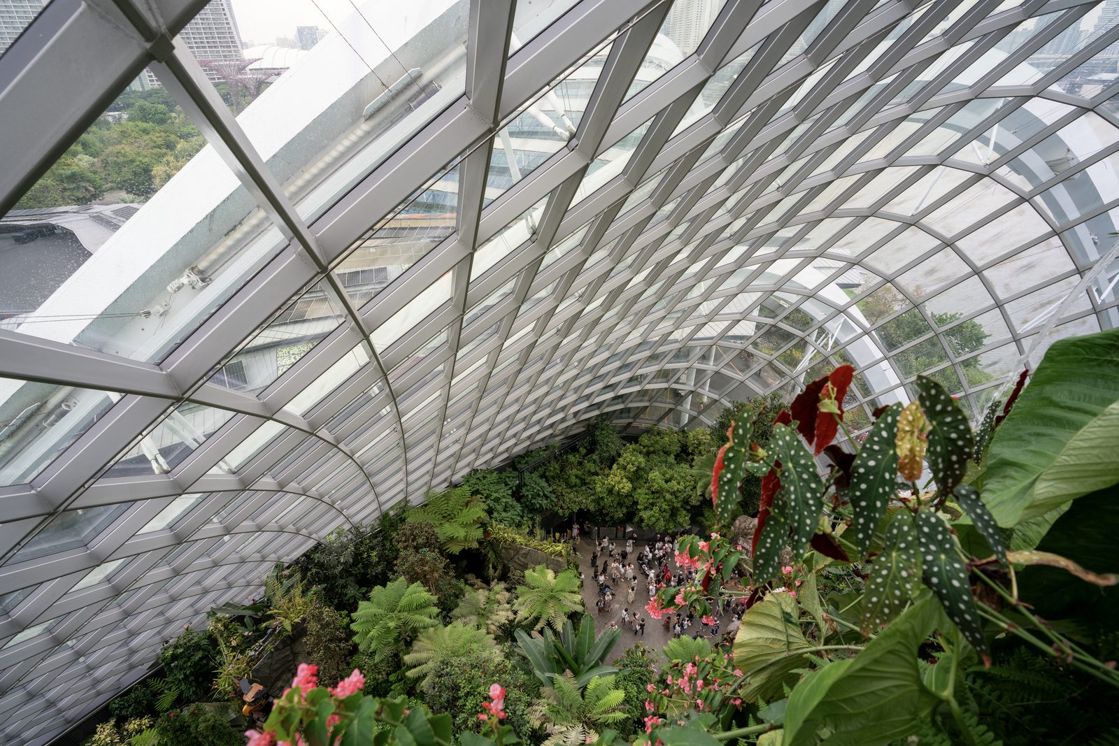 A glass and steel gridshell roof curves above a planted conservatory, red begonias leaning into the frame.