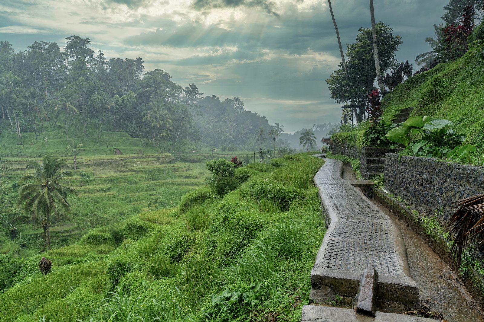 A wet paved path runs beside terraced rice fields, palms and broken sunbeams above the valley.