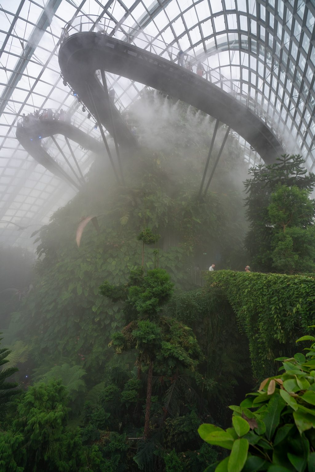 An elevated walkway loops through mist above a lush indoor cloud forest, its glass dome ceiling arching overhead.