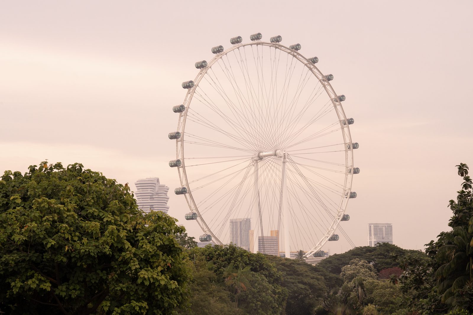 A large observation wheel rises above dense treetops in flat pink dusk light, towers small behind it.