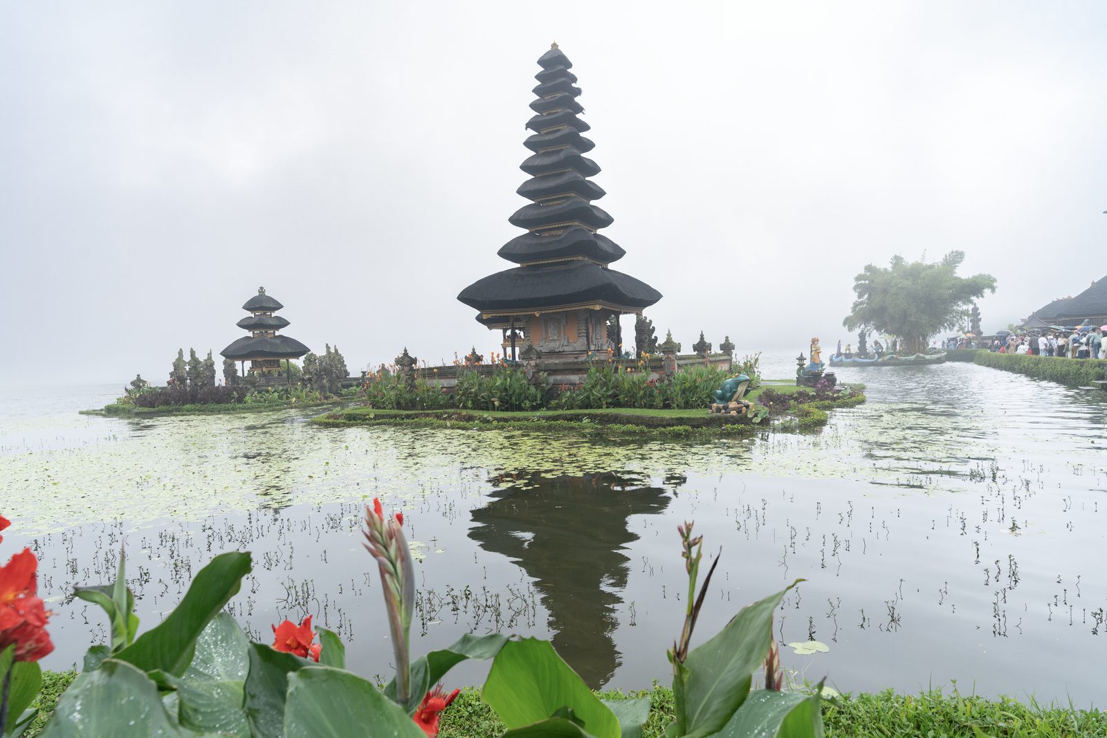 A tiered temple and its smaller neighbour stand at a lake edge in mist, both reflected in water strewn with weed.