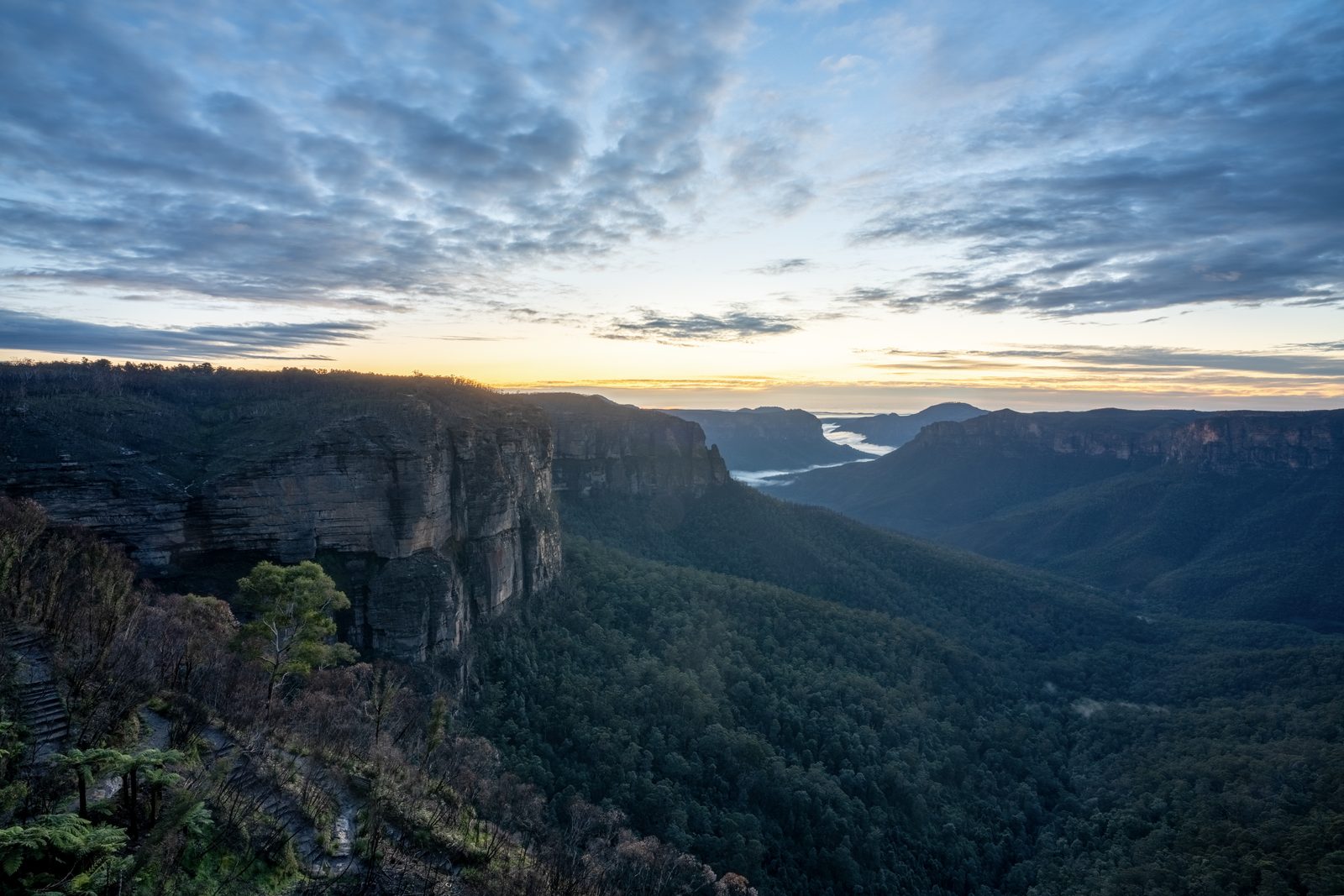 Sandstone cliffs step down into a forested valley at dawn, mist gathered in the far gorge under a streaked sky.