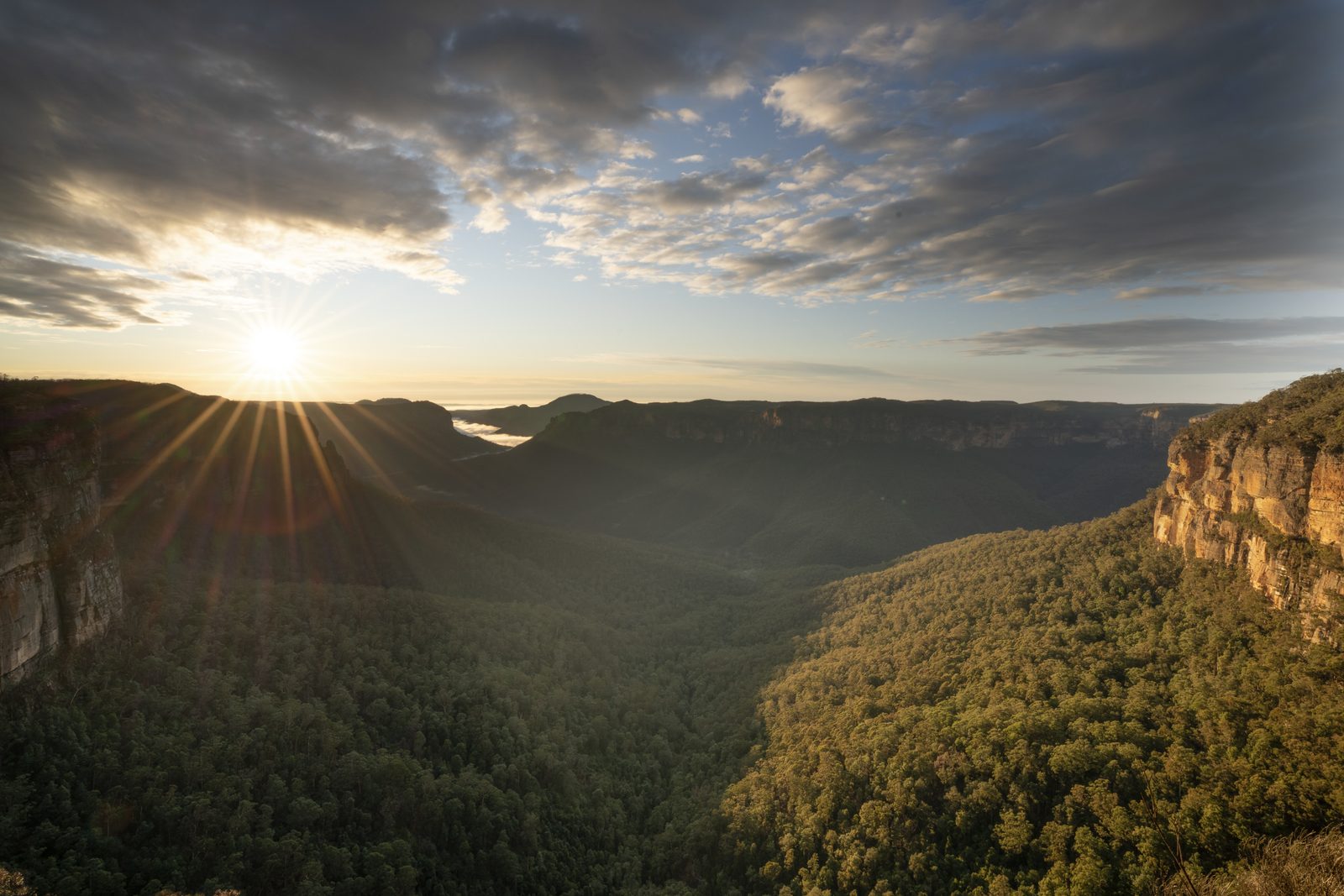 The sun breaks over a distant ridge in a starburst, throwing light down a forested gorge between sandstone walls.