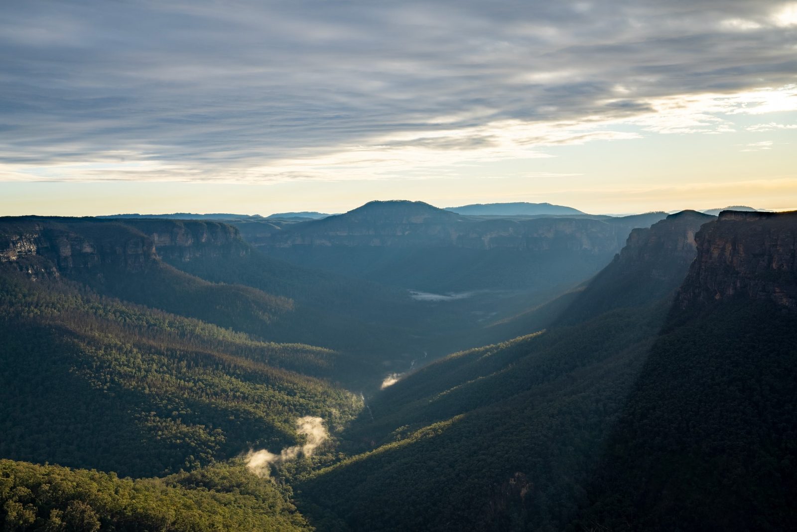 Sheer sandstone escarpments frame a forested valley at dawn, thin plumes of mist rising from the treetops below.