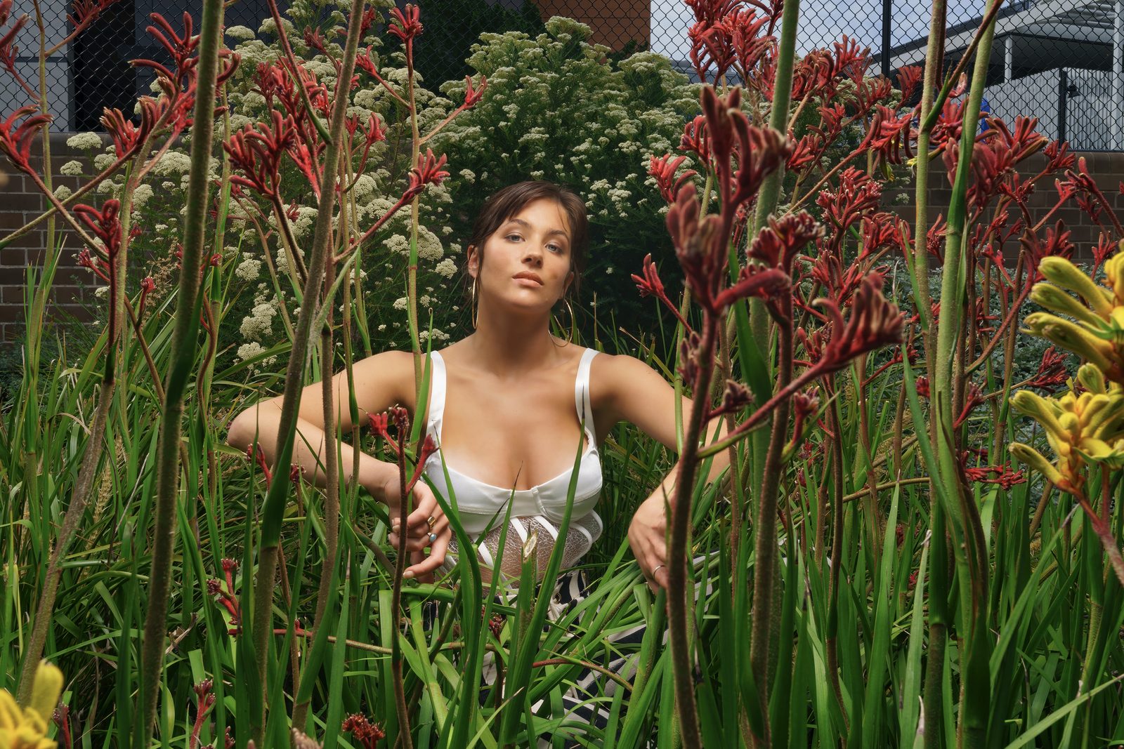 A woman in a white top crouches among tall red kangaroo paw stems, white blossom and a fence behind her