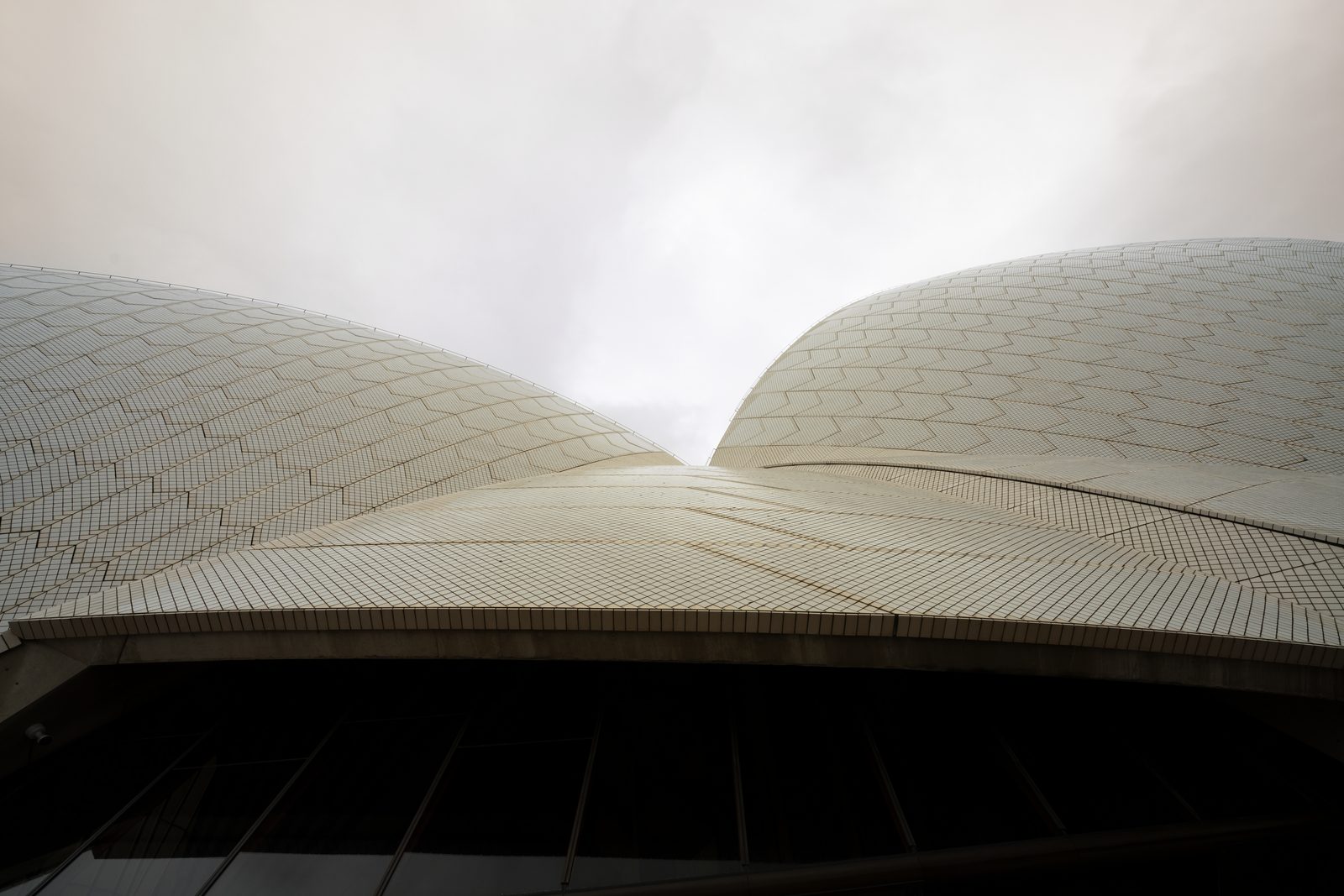 Two tiled shells of the Sydney Opera House curve up and apart against flat white sky, seen from directly below.