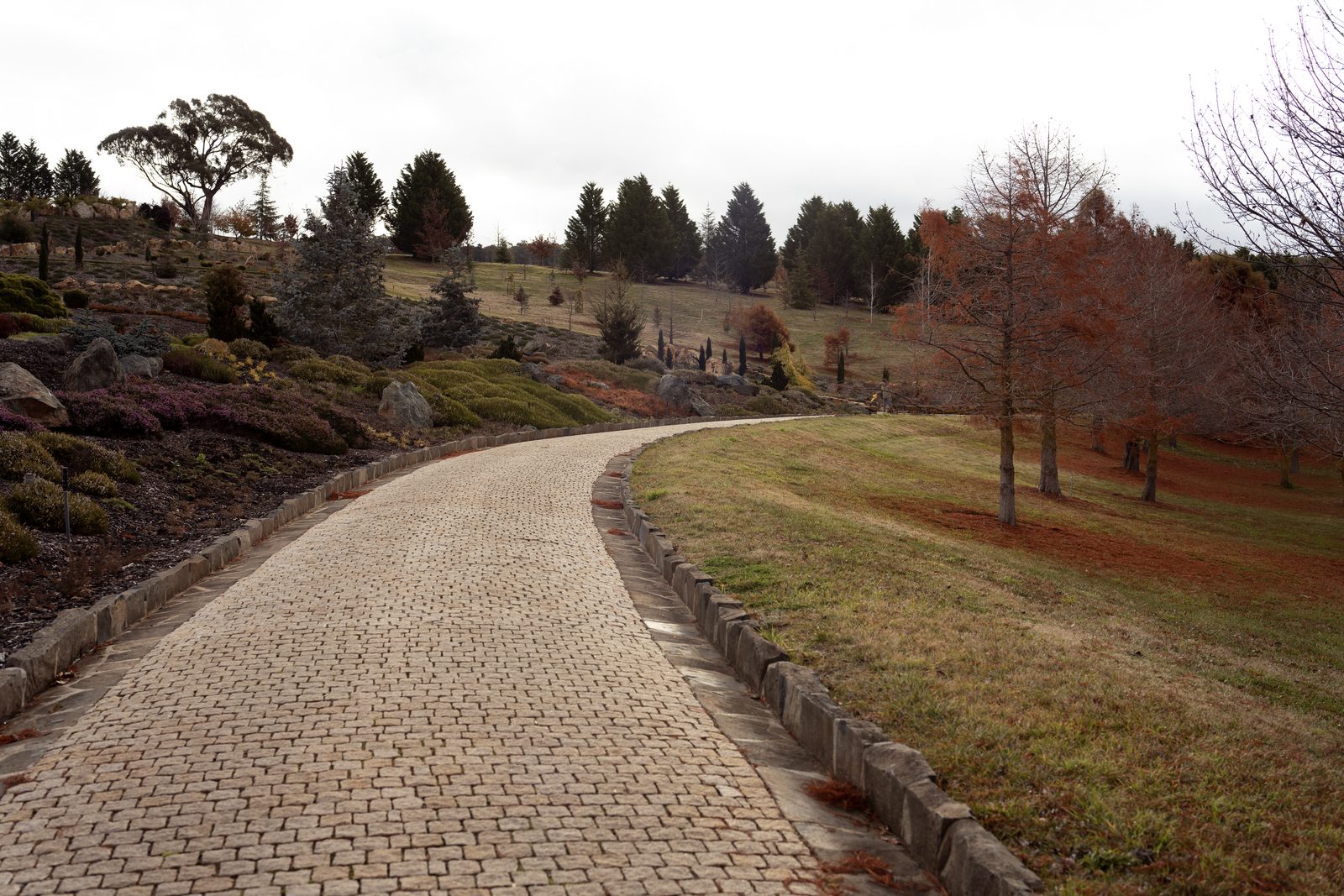 A cobbled drive curves between banked heath and conifers, autumn foliage rust-coloured on the slope beyond.