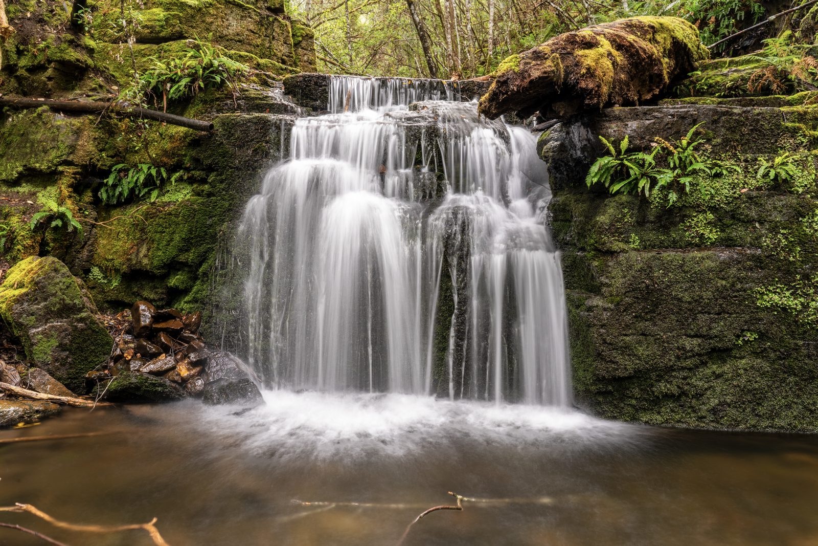A wide waterfall drops over dark mossy ledges into a shallow pool, a fallen log furred with moss above it.