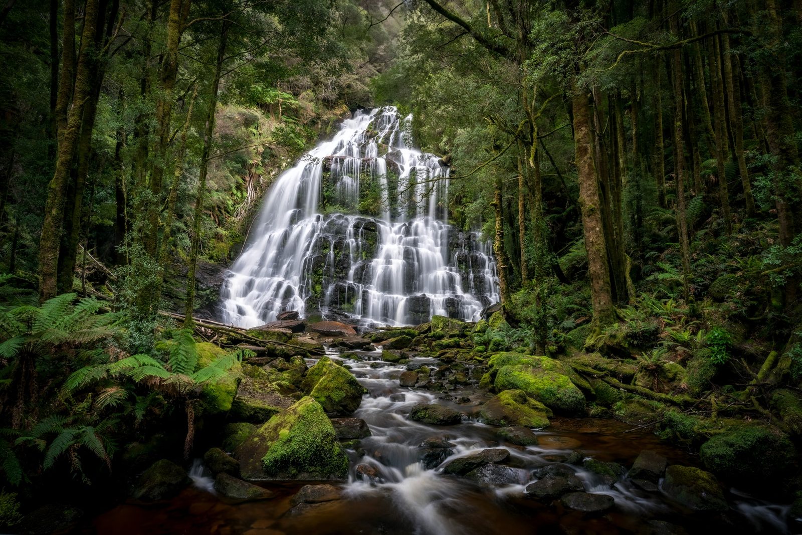 A broad tiered waterfall fans over mossy rock steps in dense temperate rainforest, feeding a boulder-strewn stream below.