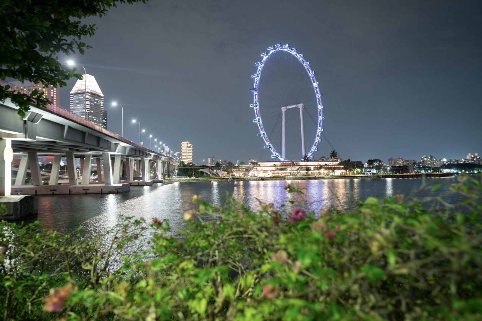 A lit observation wheel stands across dark water at night, a low road bridge running out from the left.