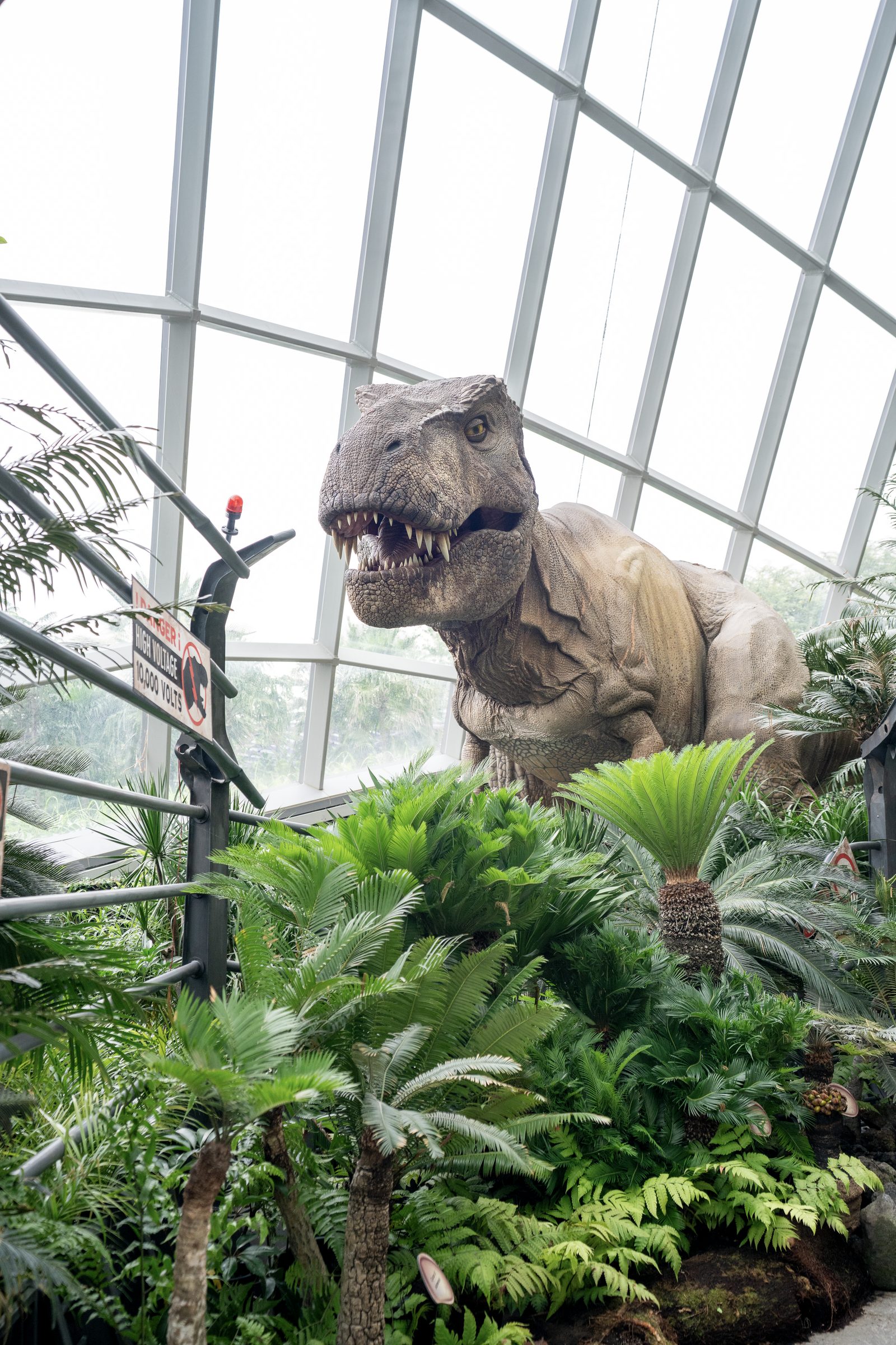 A life-size tyrannosaur model rears among cycads and ferns inside a steel-framed glasshouse.